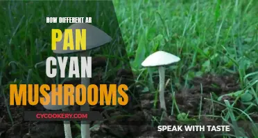 Pan Cyan Mushrooms: A World of Difference