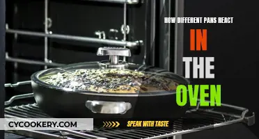 Pans' Performance in the Oven: A Comparative Review