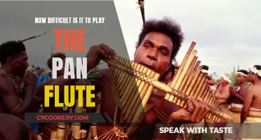 Mastering the Pan Flute: Is It Tough?