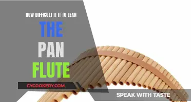 Mastering the Pan Flute: Is It Easy?