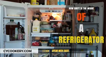 Unveiling the Hidden Grime: How Dirty is Your Fridge Inside?
