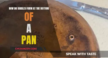 The Science Behind Burnt Bits: Bottom of the Pan