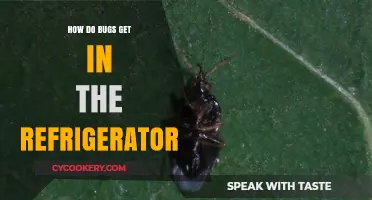 Uninvited Guests: How Bugs Sneak into Your Refrigerator