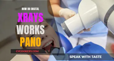Digital X-rays: Panoramic Imaging Explained