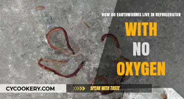 Can Earthworms Survive in Refrigerators Without Oxygen? Surprising Insights