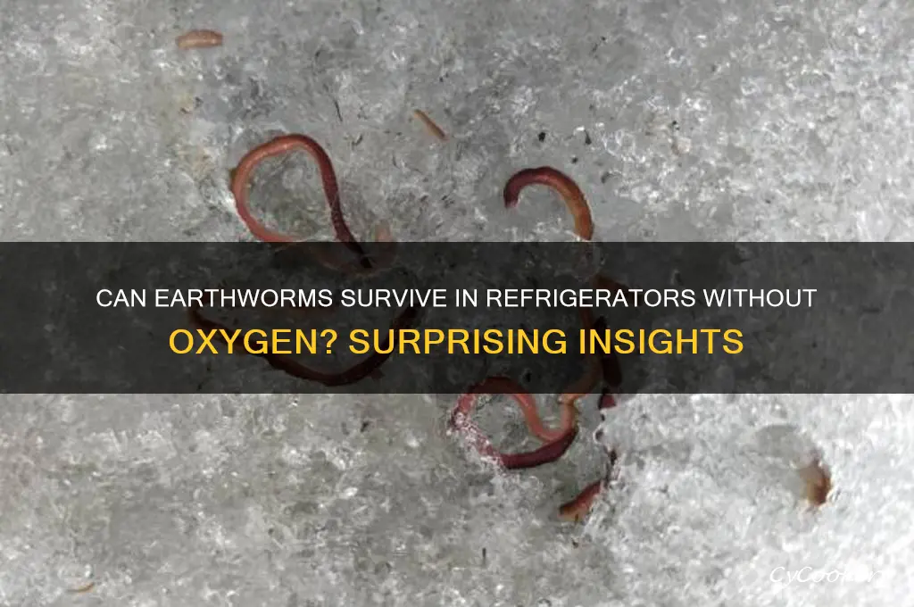 how do earthworms live in refrigerator with no oxygen