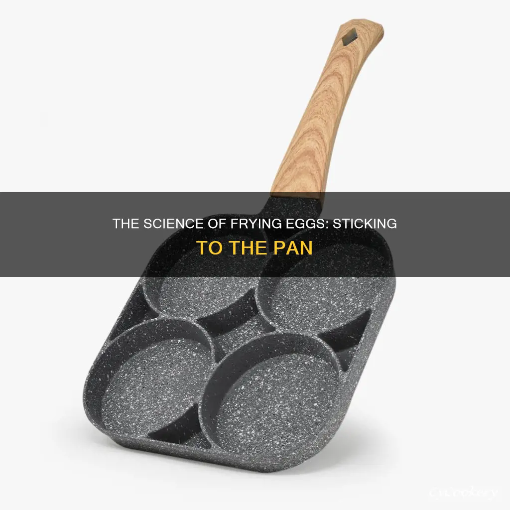 how do eggs stay on the pan