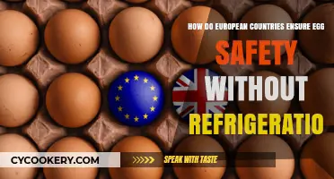European Egg Safety: Unrefrigerated Practices and Standards Explained