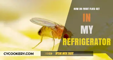 Why Fruit Flies Invade Your Fridge and How to Stop Them