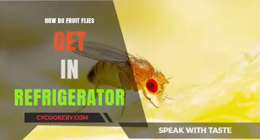 Why Fruit Flies Invade Your Fridge and How to Stop Them