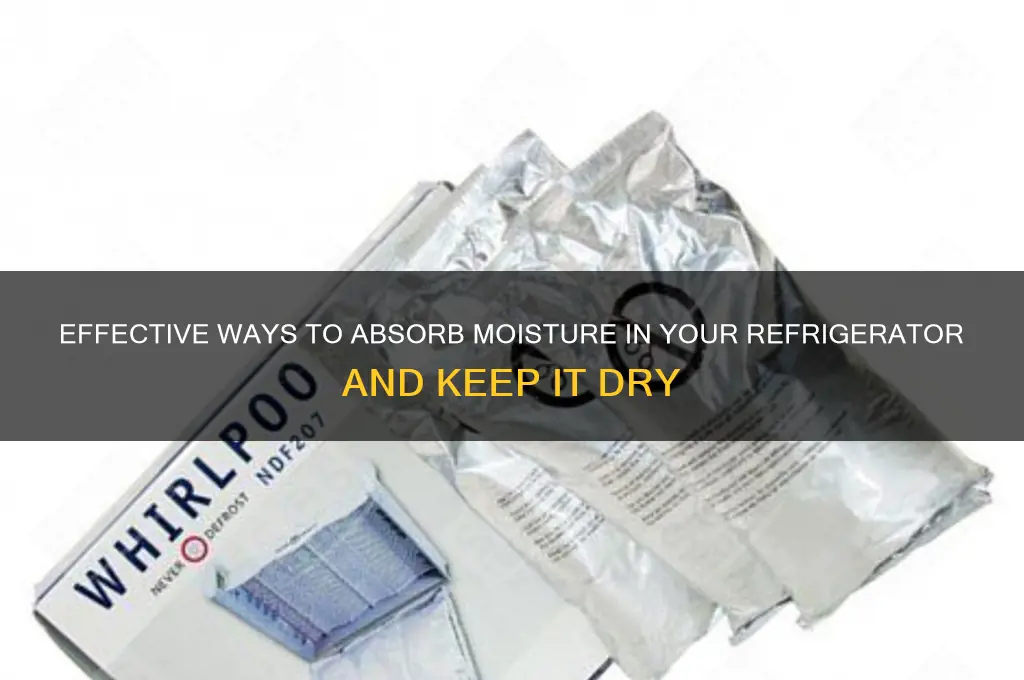 how do i absorb moisture in my refrigerator