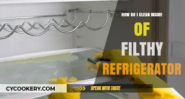 Revive Your Fridge: Ultimate Guide to Cleaning a Filthy Refrigerator Inside Out