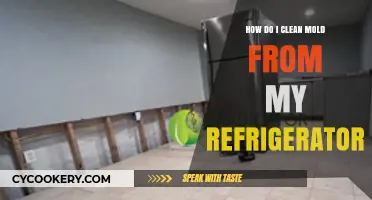 Effective Tips to Remove Mold from Your Refrigerator Safely