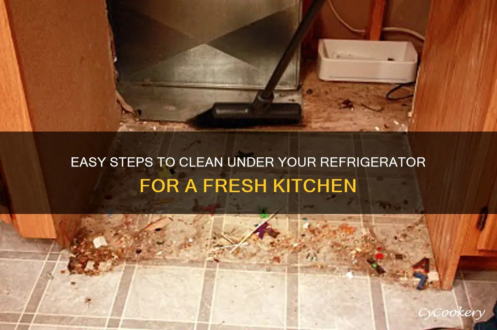 how do i clean under a refrigerator