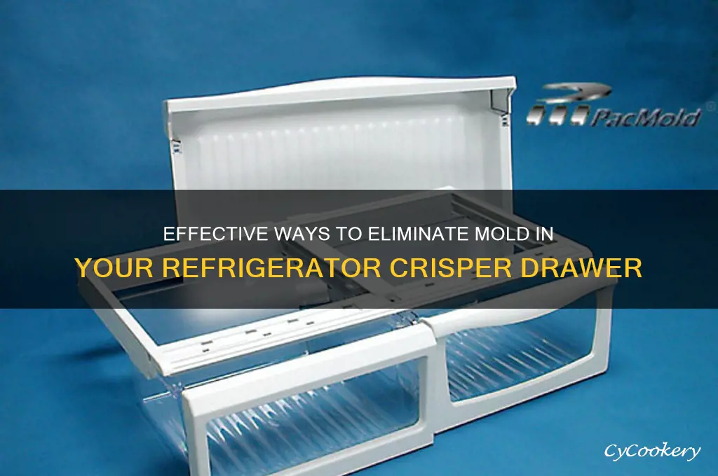 how do i combat mold in my refrigerator crisper