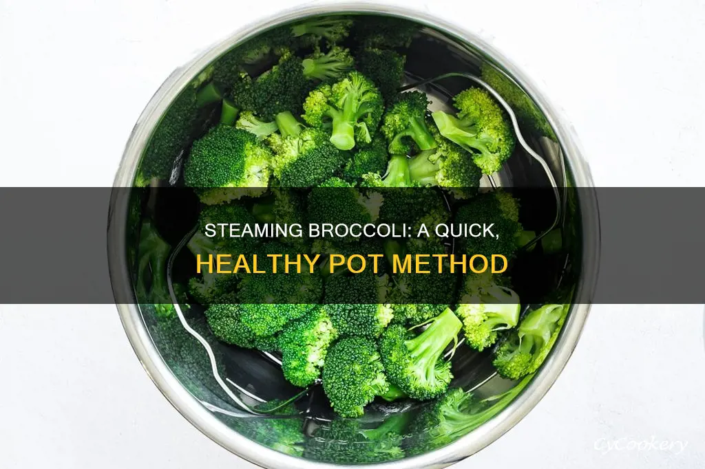 how do I cook broccoli in a pot