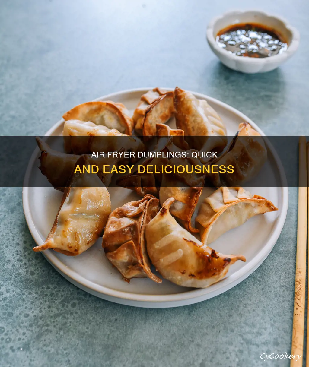 how do i cook dumplings in an air fryer