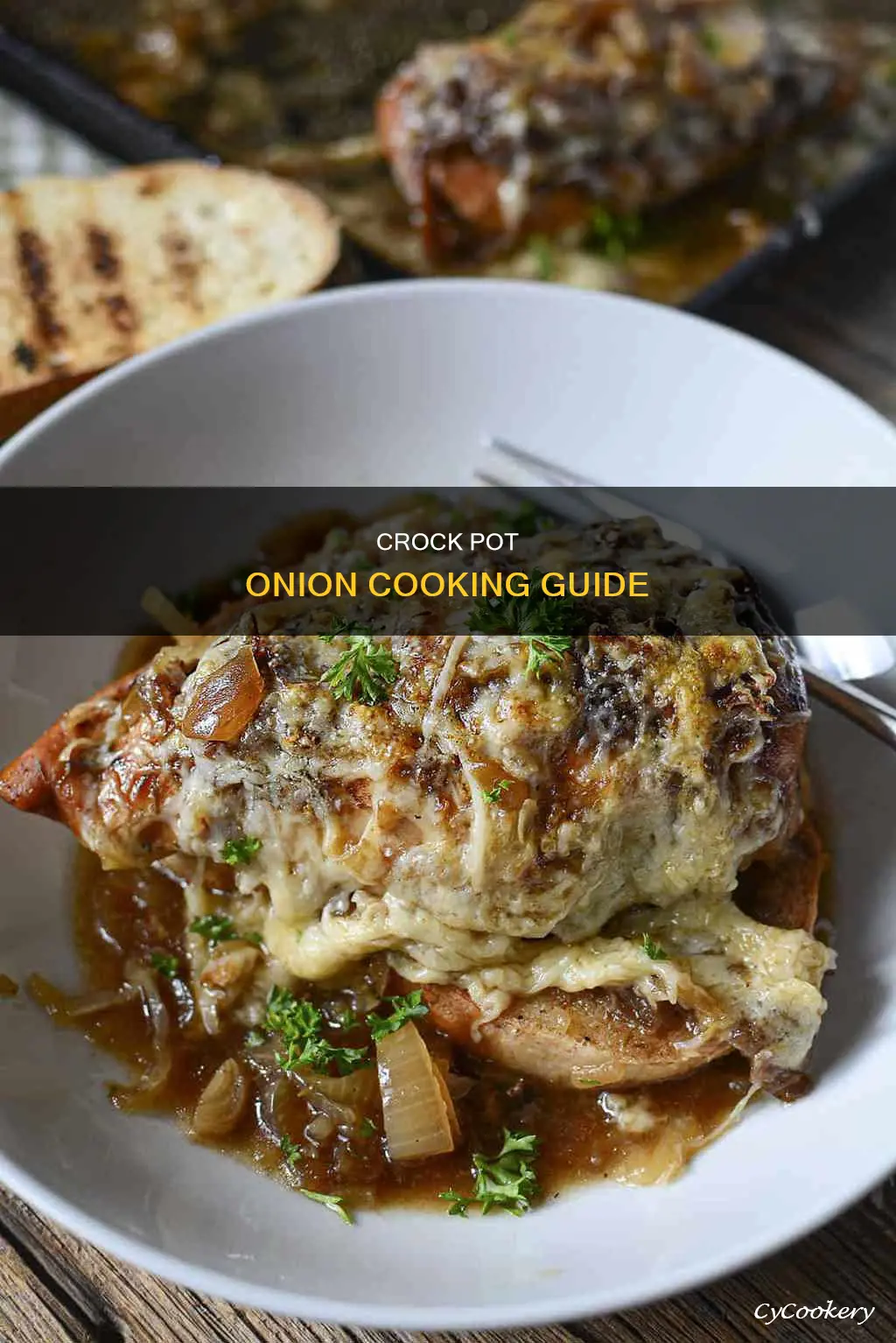 how do I cook onions in the crock pot