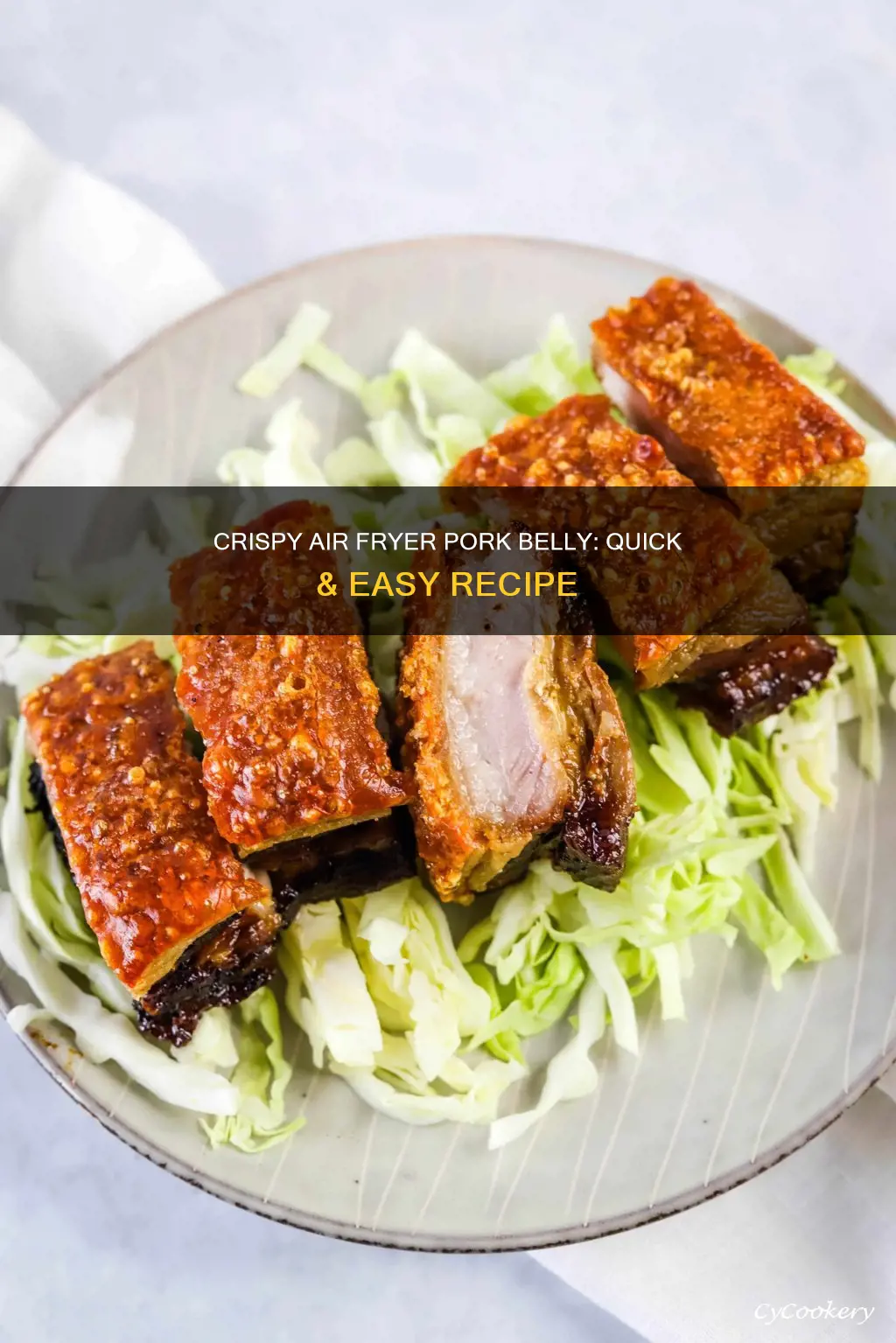 how do i cook pork belly in air fryer