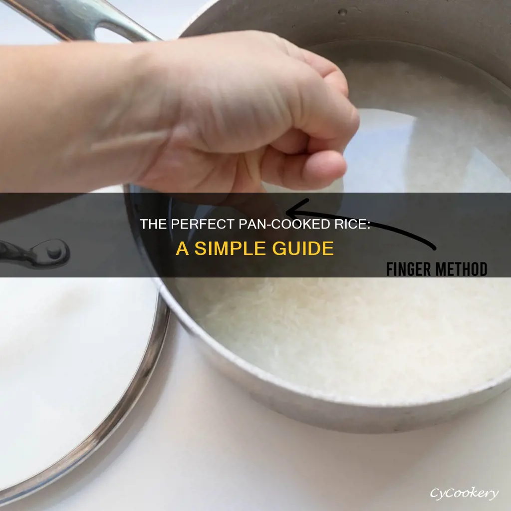 how do I cook rice in a pan