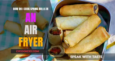 Crispy Spring Rolls: Air Fryer Magic