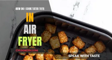 Crispy Tater Tots: Air Fryer Magic