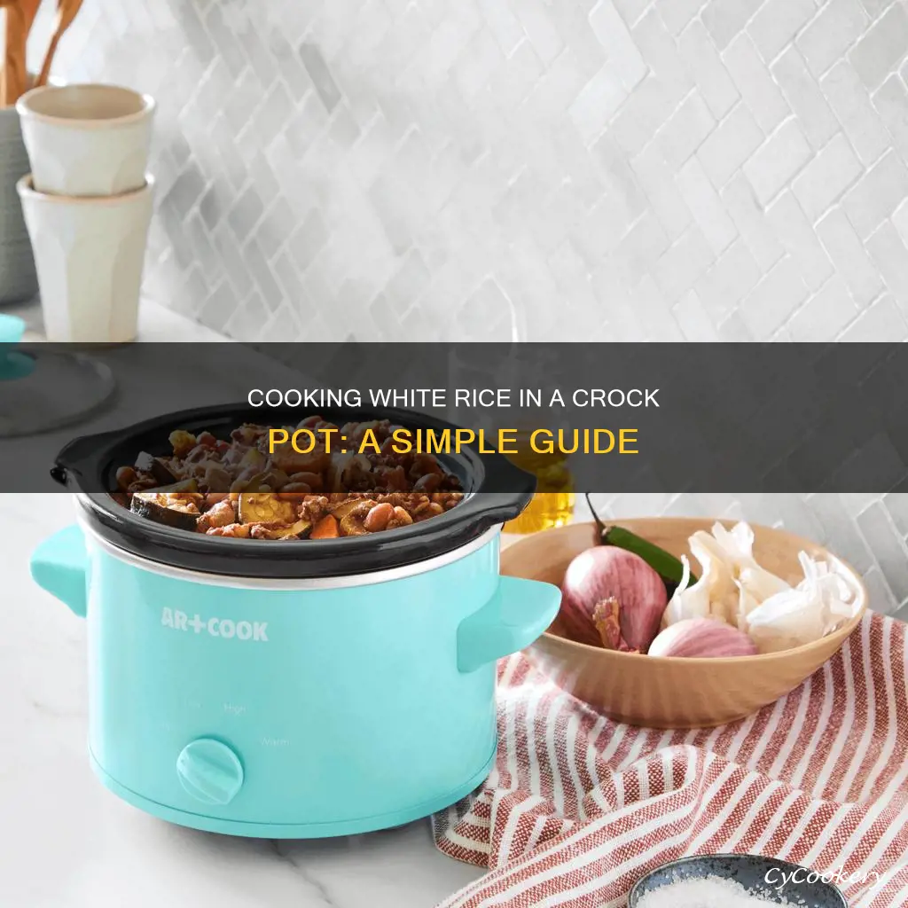 how do I cook white rice in a crock pot