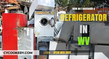Eco-Friendly Ways to Dispose of Your Old Refrigerator in West Virginia