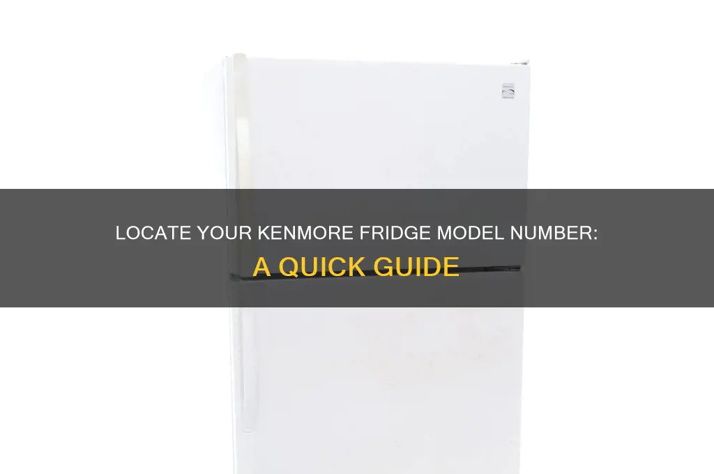 how do i find my kenmore refrigerator model number