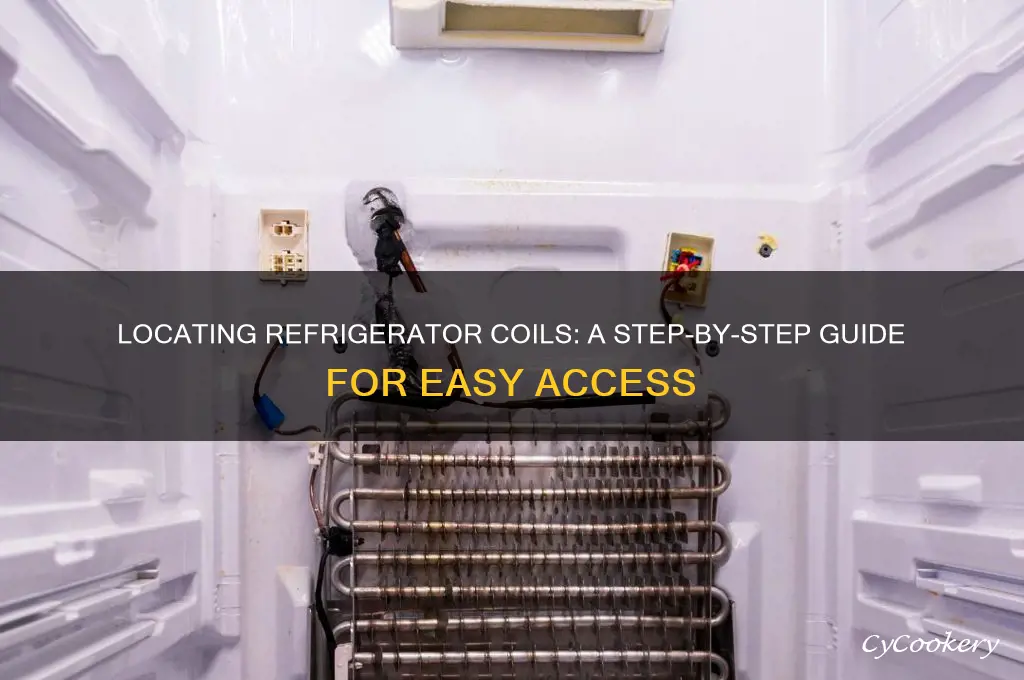 how do i find the coils behind refrigerator
