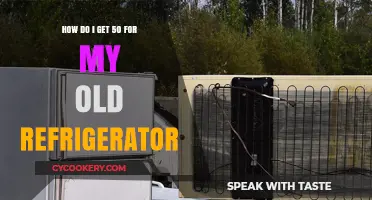 Earn Cash for Your Old Fridge: A $50 Recycling Guide