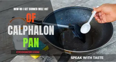 Calphalon Pan: Removing Stubborn Burn Marks