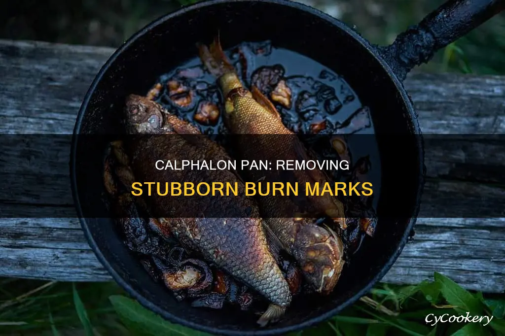 how do I get burned mile out of calphalon pan