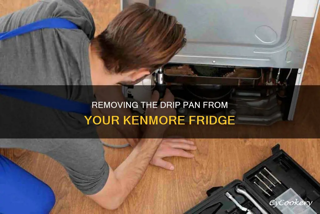 how do I get drip pan out of kenmore frig