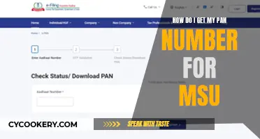 Getting Your PAN Number for MSU: A Quick Guide