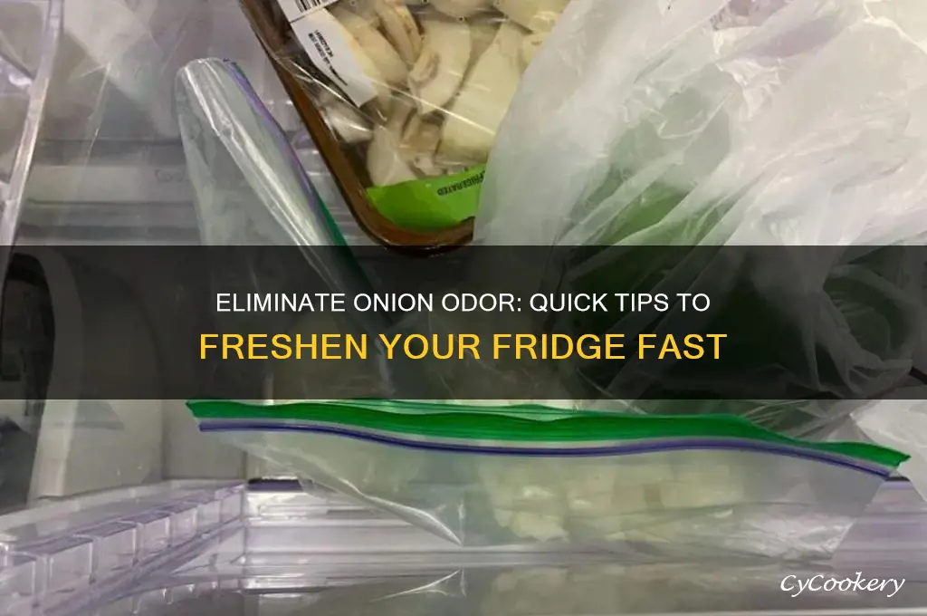 how do i get onion smell out of refrigerator