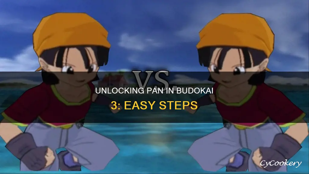 how do I get pan in budokai 3