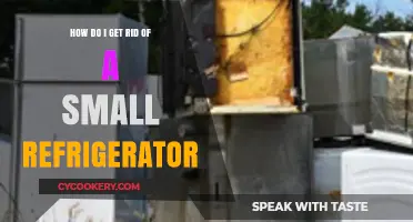 Easy Ways to Dispose of Your Small Refrigerator Responsibly