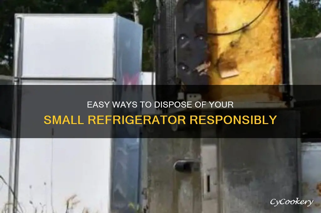 how do i get rid of a small refrigerator