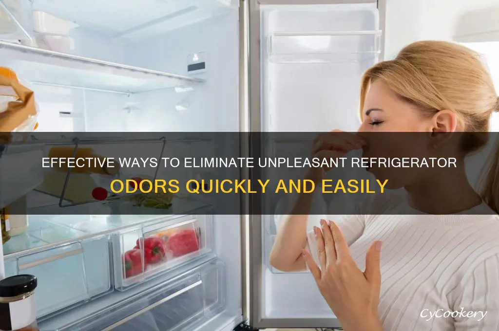 how do i get rid of refrigerator odor