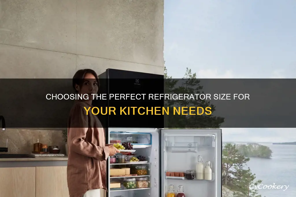 how do i get the right size refrigerator