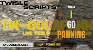 Panning for Gold: A Beginner's Guide