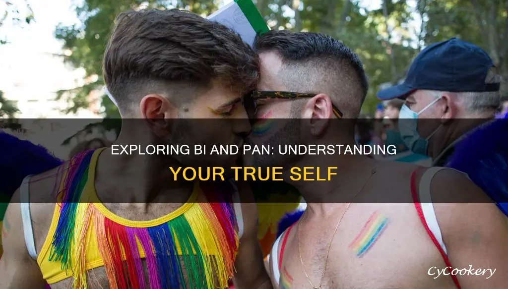 how do I know if I am bi or pan