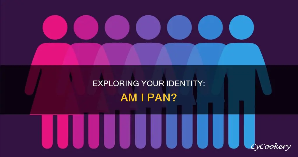 how do I know if im pan