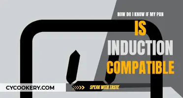 Induction Cooking: Is Your Pan Compatible?
