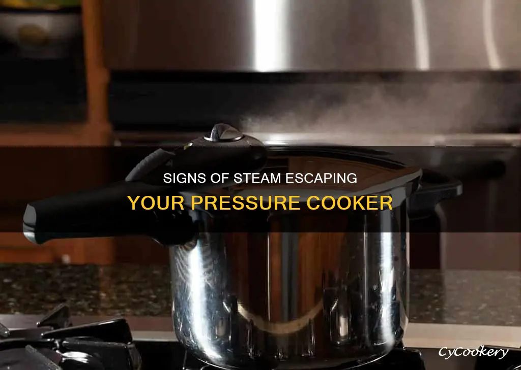 how do i know steam is escaping from pressure cooker