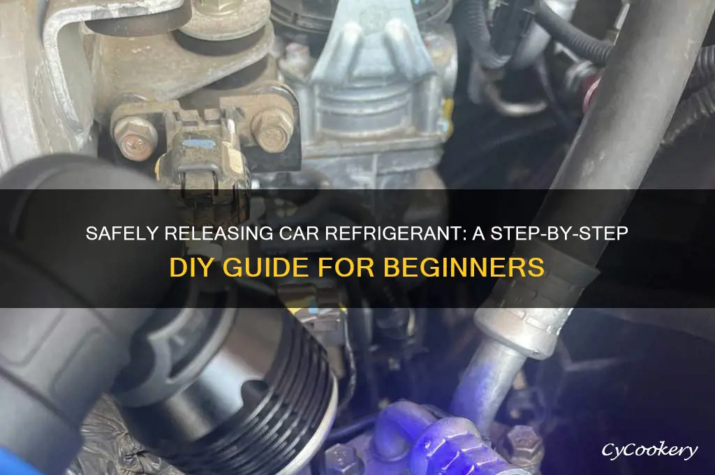 how do i let out refrigerant in my car