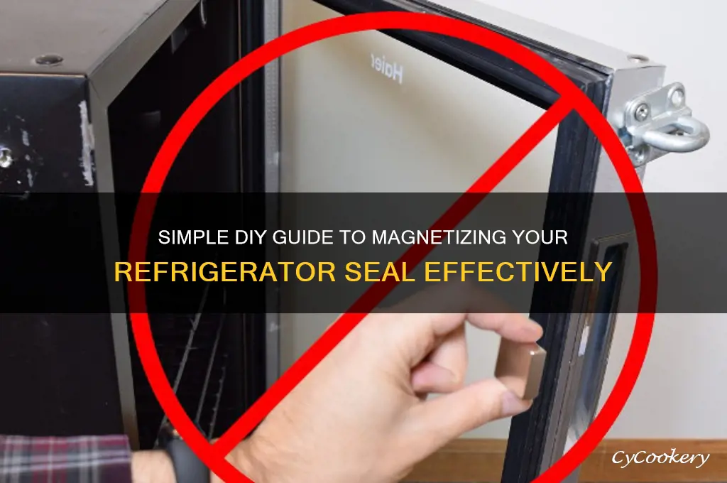 how do i magnetize my refrigerator seal