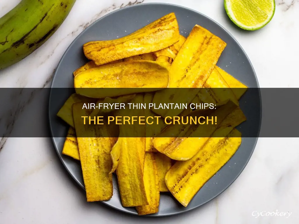 how do i make plantain chips thin air fryer