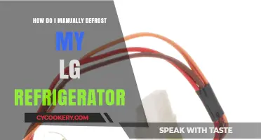 Manually Defrosting Your LG Fridge: A Step-by-Step Guide